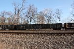 NS 190443